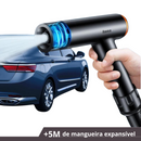 Mangueira do Futuro